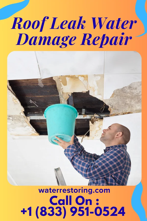 Roof Leak Water Damage Repair in Buckner, IL